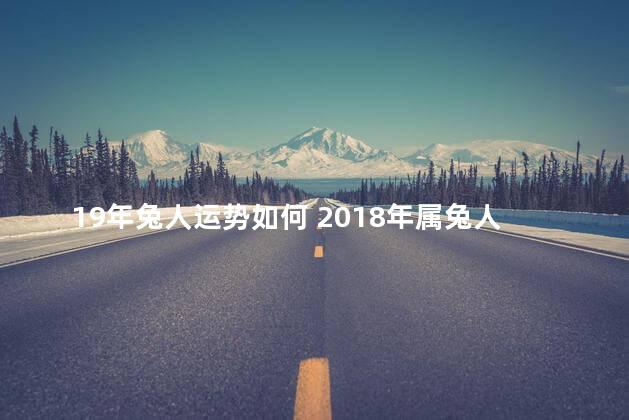 19年兔人运势如何 2018年属兔人的全年运势